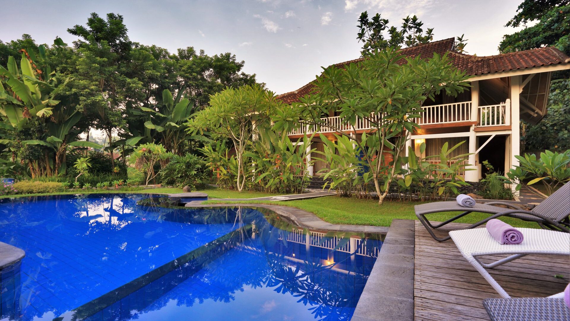 Daphne Homestay in Senggigi Lombok with tropical garden and swimming pool